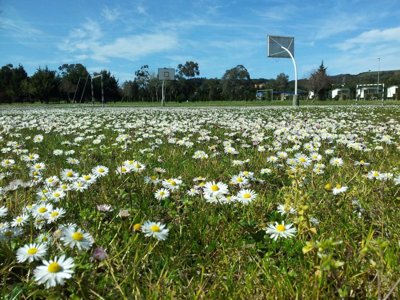 Cliquez pour découvrir toutes les photos de l'ÉTABLISSEMENT ! camping Playa Joyel photo 10