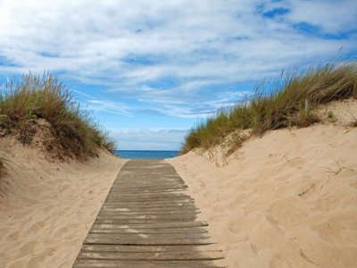 Cliquez pour découvrir toutes les photos de l'ÉTABLISSEMENT ! camping Playa Joyel photo 28