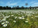 Cliquez pour découvrir toutes les photos de l'ÉTABLISSEMENT ! camping Playa Joyel photo 10