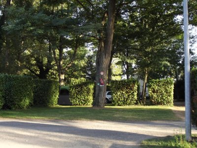 Cliquez pour découvrir toutes les photos de l'ÉTABLISSEMENT ! camping Les Loges photo 18