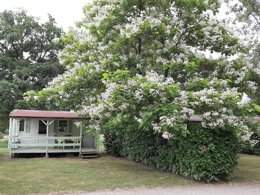 Camping Pas Cher vous présente avec son site Officiel campingpascher.fr, le Camping Les Loges classé 3 étoiles, situé sur la commune de Nonette dans le département Puy-de-dôme (Auvergne) en France. Le camping Les Loges, vous présente un hébergement de type mobil-home de 18 m². Le camping Les Loges vous propose du vendredi 03 avril au vendredi 10 avril 2026 pour 7 nuits à 250€. Cette location propose 135 dates différentes pour réserver votre séjour. Découvrez également les 7 autres gammes d'hébergements du camping. Les Avis clients pour le Camping Les Loges sont excellents avec une note moyenne de 8 sur 10. Rivière, Piscine chauffée, Piscine extérieure, Animations familiales, Club enfants, Aire de jeux enfants, Canoë-kayak, Court de tennis, Cyclisme, Golf, Ping-pong, Pétanque, Randonnée, Salle de jeux vidéo, Terrain de volley-ball, Bar, Dépôt de pain, Pizzeria, Plats à emporter, Restaurant,... En savoir plus : cliquez-ICI.