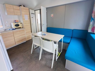 Cliquez pour découvrir toutes les photos de l'HÉBERGEMENT ! mobil-home - L'Albizia photo 5