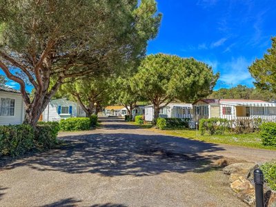 camping L'Albizia photo 20