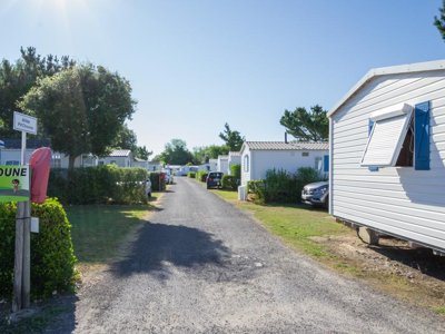 camping L'Albizia photo 28