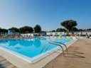 camping L'Albizia photo 1