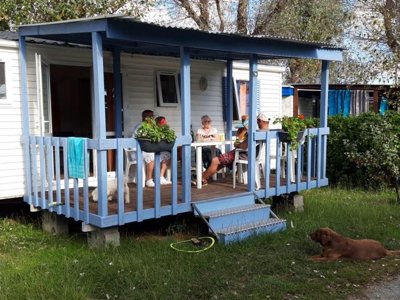 camping De La Rive photo 12