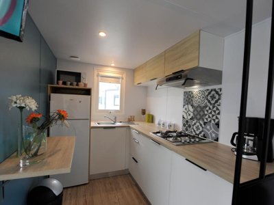 Cliquez pour découvrir toutes les photos de l'HÉBERGEMENT ! mobil-home - Domaine De La Roselière photo 3