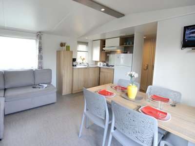 Cliquez pour découvrir toutes les photos de l'HÉBERGEMENT ! mobil-home - Domaine De La Roselière photo 2