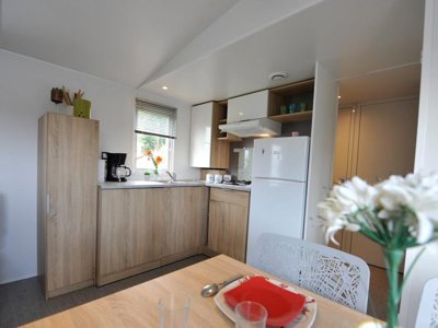 Cliquez pour découvrir toutes les photos de l'HÉBERGEMENT ! mobil-home - Domaine De La Roselière photo 4