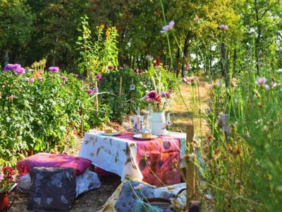 Cliquez pour découvrir toutes les photos de l'ÉTABLISSEMENT ! camping Les 3 Cantons photo 12