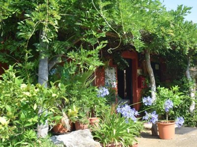 Cliquez pour découvrir toutes les photos de l'ÉTABLISSEMENT ! camping Les 3 Cantons photo 13