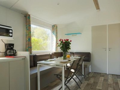 Cliquez pour découvrir toutes les photos de l'HÉBERGEMENT ! mobil-home - Le Bois Soleil photo 6