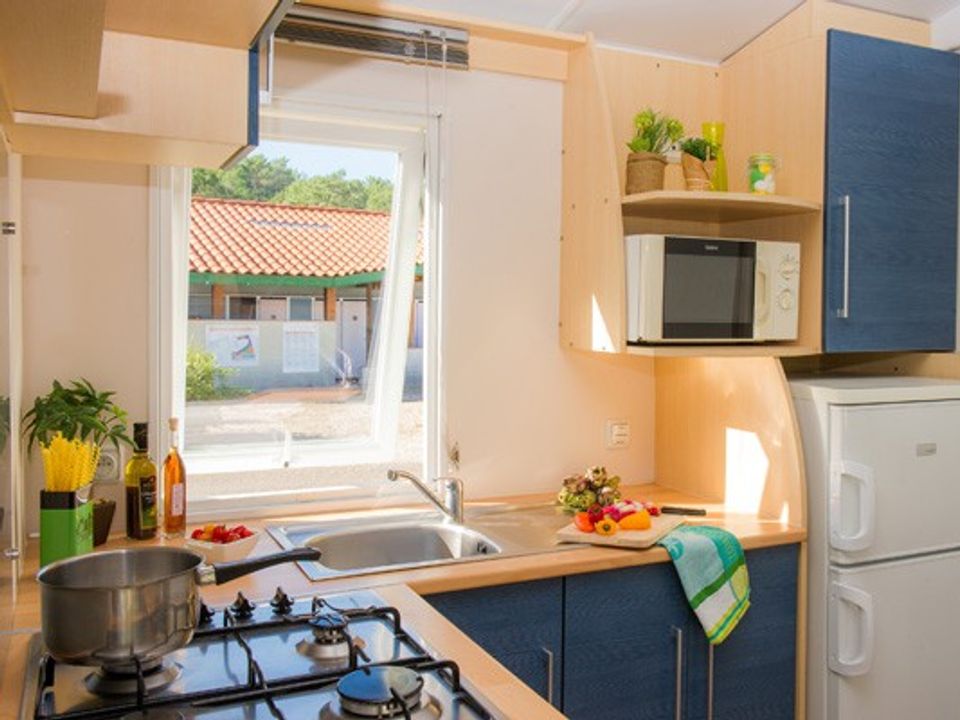 Cliquez pour découvrir toutes les photos de l'HÉBERGEMENT ! mobil-home - établissement Lou Pignada photo 4