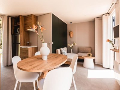 Cliquez pour découvrir toutes les photos de l'HÉBERGEMENT ! mobil-home - Landae photo 2