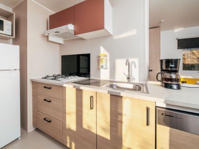 Cliquez pour découvrir toutes les photos de l'HÉBERGEMENT ! mobil-home - Landae photo 3