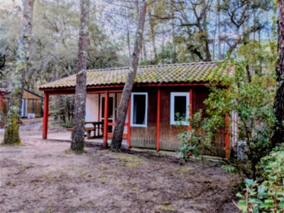 chalet - Landae photo 1