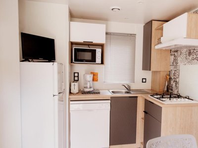 Cliquez pour découvrir toutes les photos de l'HÉBERGEMENT ! mobil-home - Le Paradis photo 4