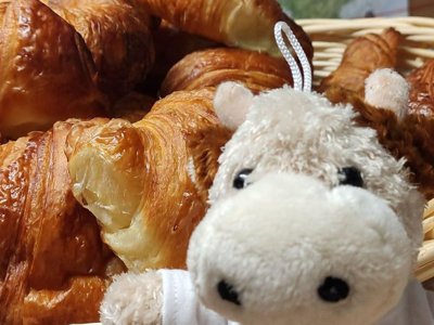 camping Le Chanet photo 9