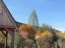 Cliquez pour découvrir toutes les photos de l'HÉBERGEMENT ! chalet - camping Domaine La Roche D’Ully photo 2