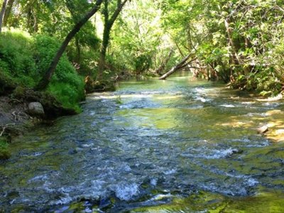 Cliquez pour découvrir toutes les photos de l'ÉTABLISSEMENT ! camping Des Sources photo 12
