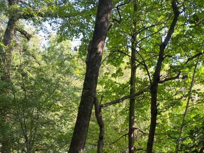 Cliquez pour découvrir toutes les photos de l'ÉTABLISSEMENT ! camping Des Sources photo 13