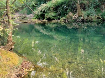 Cliquez pour découvrir toutes les photos de l'ÉTABLISSEMENT ! camping Des Sources photo 17