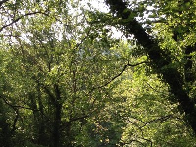 Cliquez pour découvrir toutes les photos de l'ÉTABLISSEMENT ! camping Des Sources photo 23