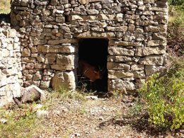 Camping Pas Cher vous présente avec son site Officiel campingpascher.fr, le Camping Des Sources classé 3 étoiles, situé sur la commune de Soubes dans le département Hérault (Languedoc Roussillon) en France. Le camping Des Sources vous propose un hébergement de type chalet de 25 m² pour 2 personnes. L'établissement vous propose 5 autres types d'hébergements. Découvrez tous nos séjours à petits prix dans la commune et aux alentours de Soubes du département : Hérault (Languedoc Roussillon). Les Avis clients pour le Camping Des Sources sont excellents avec une note moyenne de 8 sur 10. Rivière, Piscine chauffée, Piscine extérieure, Animation enfants, Animations familiales, Aire de jeux enfants, Centre équestre, Cyclisme, Ping-pong, Pétanque, Randonnée, Terrain multisports, Trampoline, Bar, Dépôt de pain, Plats à emporter, Snack/Bar,... En savoir plus : cliquez-ICI.