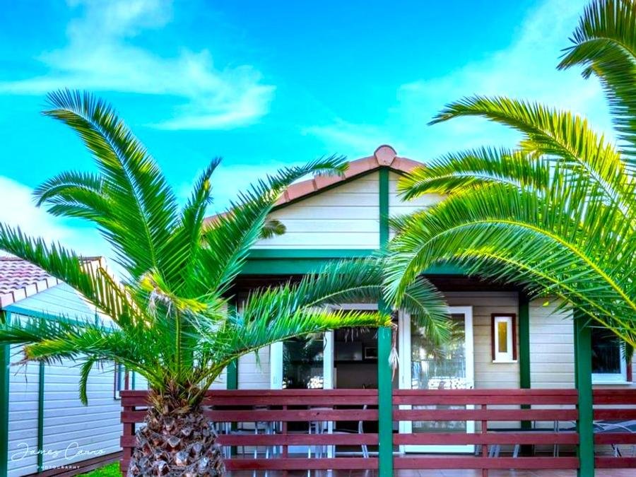 Camping Pas Cher vous présente avec son site Officiel campingpascher.fr, le Camping Vilanova Park classé 4 étoiles, situé sur la commune de Vilanova I La Geltru dans le département Barcelone (Catalogne) en Espagne. Le camping Vilanova Park, vous présente un hébergement de type bungalow de 53 m² pour 2 personnes avec climatisation et télévision. Le camping Vilanova Park vous propose du dimanche 25 octobre au dimanche 01 novembre 2026 pour 7 nuits à 757.8€. Cette location propose 61 dates différentes pour réserver votre séjour. Découvrez également les 33 autres gammes d'hébergements du camping. Les Avis clients pour le Camping Vilanova Park sont excellents avec une note moyenne de 8 sur 10. Piscine couverte, Piscine extérieure, Animations familiales, Club enfants, Aire de jeux enfants, Centre équestre, Court de tennis, Golf, Ping-pong, Pétanque, Salle de fitness, Terrain de football, Terrain multisports, Trampoline, Bar, Plats à emporter, Restaurant, Snack/Bar,... En savoir plus : cliquez-ICI.