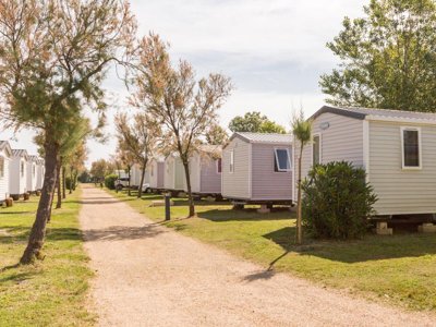 Cliquez pour découvrir toutes les photos de l'ÉTABLISSEMENT ! camping Domaine Saint Maurice photo 13