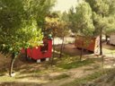 Cliquez pour découvrir toutes les photos de l'HÉBERGEMENT ! mobil-home - camping Lago Resort photo 2