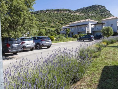 Cliquez pour découvrir toutes les photos de l'ÉTABLISSEMENT ! résidence Odalys Référence Casa D'Orinaju photo 21