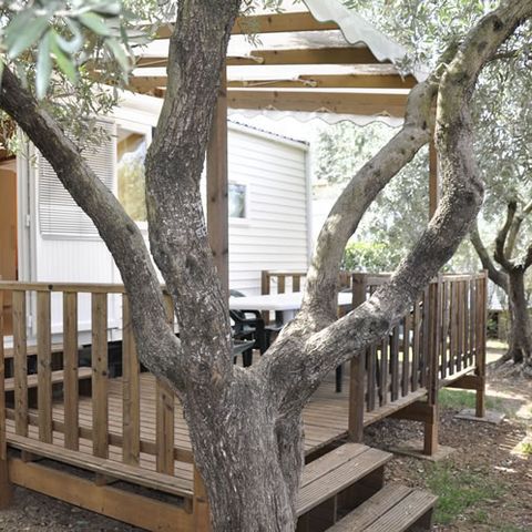 mobilhome - Les Oliviers photo 1