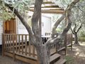 Cliquez pour découvrir toutes les photos de l'HÉBERGEMENT ! mobilhome - établissement Les Oliviers photo 1
