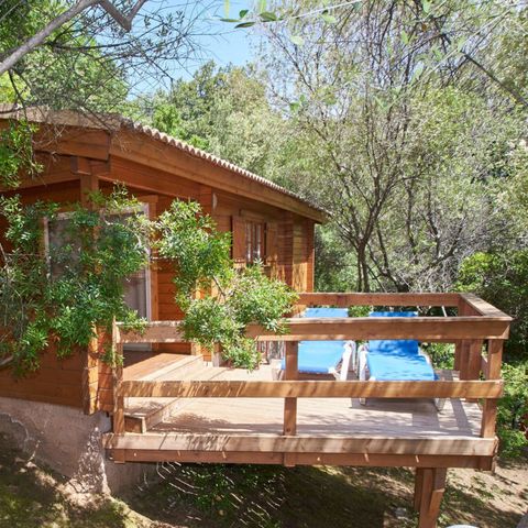 chalet - Les Oliviers photo 1