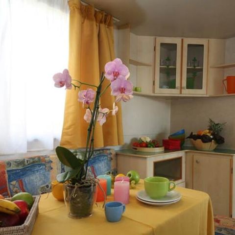 Cliquez pour découvrir toutes les photos de l'HÉBERGEMENT ! mobil-home - Village Butterfly photo 2