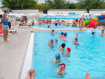 Cliquez pour découvrir toutes les photos de l'ÉTABLISSEMENT ! établissement Village Butterfly photo 15