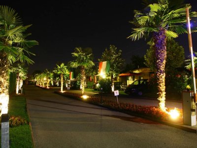 Cliquez pour découvrir toutes les photos de l'ÉTABLISSEMENT ! établissement Village Butterfly photo 27