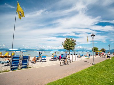 Cliquez pour découvrir toutes les photos de l'ÉTABLISSEMENT ! établissement Village Butterfly photo 28