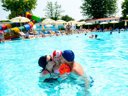 Cliquez pour découvrir toutes les photos de l'ÉTABLISSEMENT ! établissement Village Butterfly photo 11