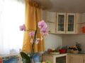 Cliquez pour découvrir toutes les photos de l'HÉBERGEMENT ! mobil-home - établissement Village Butterfly photo 2