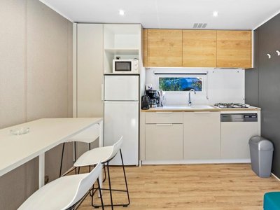 Cliquez pour découvrir toutes les photos de l'HÉBERGEMENT ! mobil-home - Le Damier photo 5