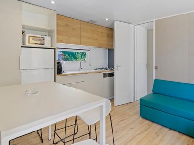 Cliquez pour découvrir toutes les photos de l'HÉBERGEMENT ! mobil-home - Le Damier photo 8