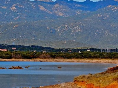 Cliquez pour découvrir toutes les photos de l'ÉTABLISSEMENT ! camping Le Damier photo 23