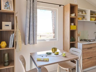 Cliquez pour découvrir toutes les photos de l'HÉBERGEMENT ! mobil-home - Le Damier photo 2