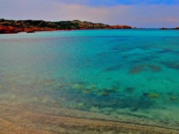 Camping Pas Cher vous présente avec son site Officiel campingpascher.fr, le Camping Le Damier classé 3 étoiles, situé sur la commune de Pianottoli Caldarello dans le département Corse Du Sud (Corse) en France. Le camping Le Damier, vous présente un hébergement de type tente en toile et bois de 34 m². Le camping Le Damier vous propose du sam. 04 avril au sam. 11 avril 2026 pour 7 nuits à 350€. Cette location propose 69 dates différentes pour réserver votre séjour. Découvrez également les 11 autres gammes d'hébergements du camping. Les Avis clients pour le Camping Le Damier sont excellents avec une note moyenne de 8 sur 10. Piscine extérieure, Animations familiales, Aire de jeux enfants, Cyclisme, Pétanque, Bar, Pizzeria, Épicerie,... En savoir plus : cliquez-ICI.