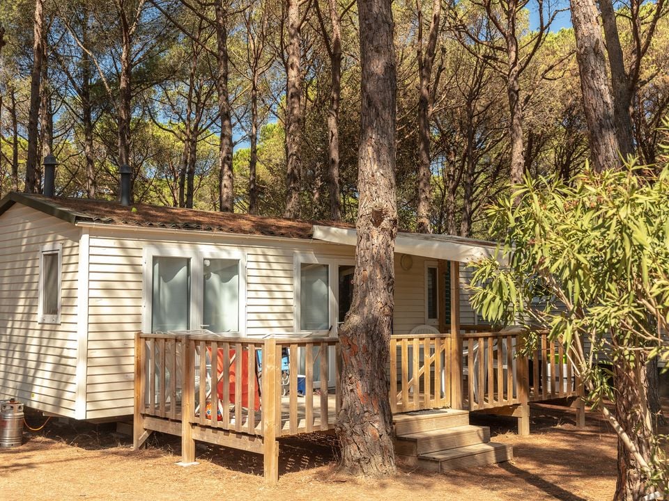 Cliquez pour découvrir toutes les photos de l'HÉBERGEMENT ! mobil-home - établissement Neptuno photo 1