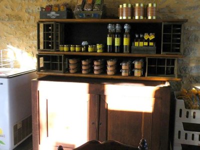 Cliquez pour découvrir toutes les photos de l'ÉTABLISSEMENT ! camping Noix De Pecan'y photo 14