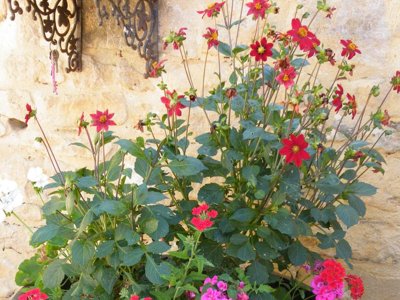 Cliquez pour découvrir toutes les photos de l'ÉTABLISSEMENT ! camping Noix De Pecan'y photo 28