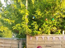 Camping Pas Cher vous présente avec son site Officiel campingpascher.fr, le Camping Noix De Pecan'y classé 3 étoiles, situé sur la commune de Paleyrac dans le département Dordogne (Aquitaine) en France. Le camping Noix De Pecan'y, vous présente un hébergement de type mobil-home de 38 m² avec climatisation et télévision. Le camping Noix De Pecan'y vous propose du sam. 04 avril au sam. 11 avril 2026 pour 7 nuits à 450€. Cette location propose 49 dates différentes pour réserver votre séjour. Découvrez également les 11 autres gammes d'hébergements du camping. Piscine couverte, Animations familiales, Aire de jeux enfants, Baby-foot, Canoë-kayak, Centre équestre, Court de tennis, Golf, Ping-pong, Piscine, Pétanque, Randonnée, Salle de jeux vidéo, Terrain de badminton, Terrain de volley-ball, Dépôt de pain, Épicerie,... En savoir plus : cliquez-ICI.